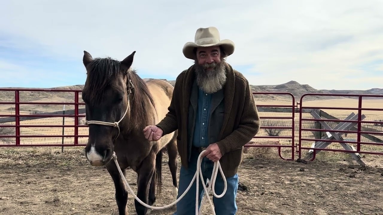 Becoming Alpha by Lunging with Purpose