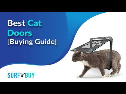 Best Cat Doors [Buying Guide]