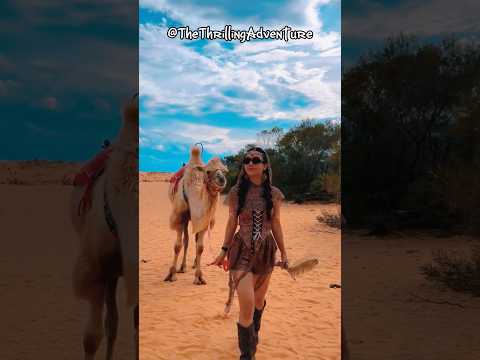 Beautiful Girls Riding Camels on Sand Dunes – A Unique and Fascinating Travel Experience