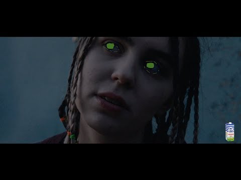 Lil Pump – D Rose (PARODY SOCKS PICTURES)