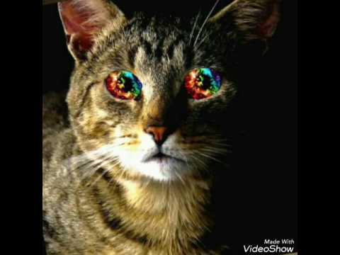 Fedy Xii - Hypocrite [ Reggae Vybs 2K17 ]