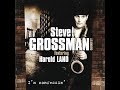 Steve Grossman vierd blues