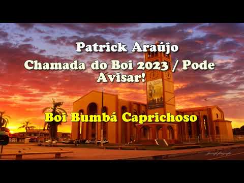 Karaokê - Chamada do Boi 2023 / Pode Avisar! - Canção do Boi Caprichoso