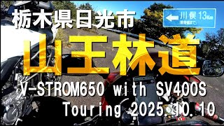 【モトブログ】栃木県日光市《山王林道》紅葉はもう少し V-STROM650 with SV400S Touring 2025.10.10