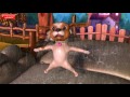 மழைத் துளி Tamil Rhymes For Children Rain Rhyme Infobells
