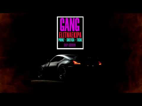 Elitna Ekipa x Shefica x Prinz - Tigre Loco - GANG SESSION