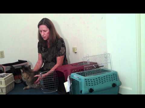 Selecting the Best Cat Carrier