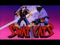 Swat Kats The Radical Squadron 30th Anniversary