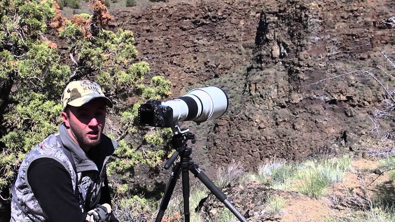 Объектив Canon EF 600mm f/4L IS II USM