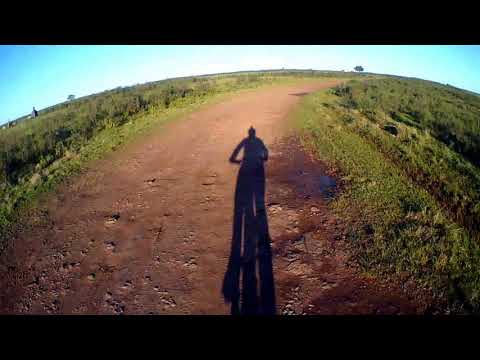 Del Platón hacia Diligencia