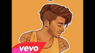 I Won&#39;t Mind Demo   Zayn Malik ft  Naughty Boy Lyrics On Screen