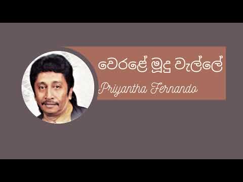 Werale Mudu Walle Priyantha Fernando වෙරළේ මූදු වැල්ලේ ප්‍රියන්ත ප්‍රනාන්දු #priyantha #ct