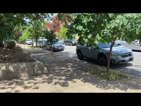 2202 Maryland Ave. #4 Video Tour | Baltimore Tenant Placement