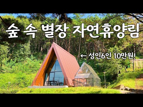 숲속의 힐링, 가성비 최고! 송정 자연 휴양림 트리하우스 체험기
