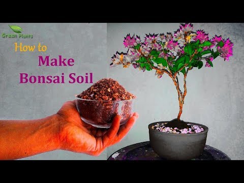 How to Make Bonsai soil Mix at Home for Beginners//GREEN PLANTS