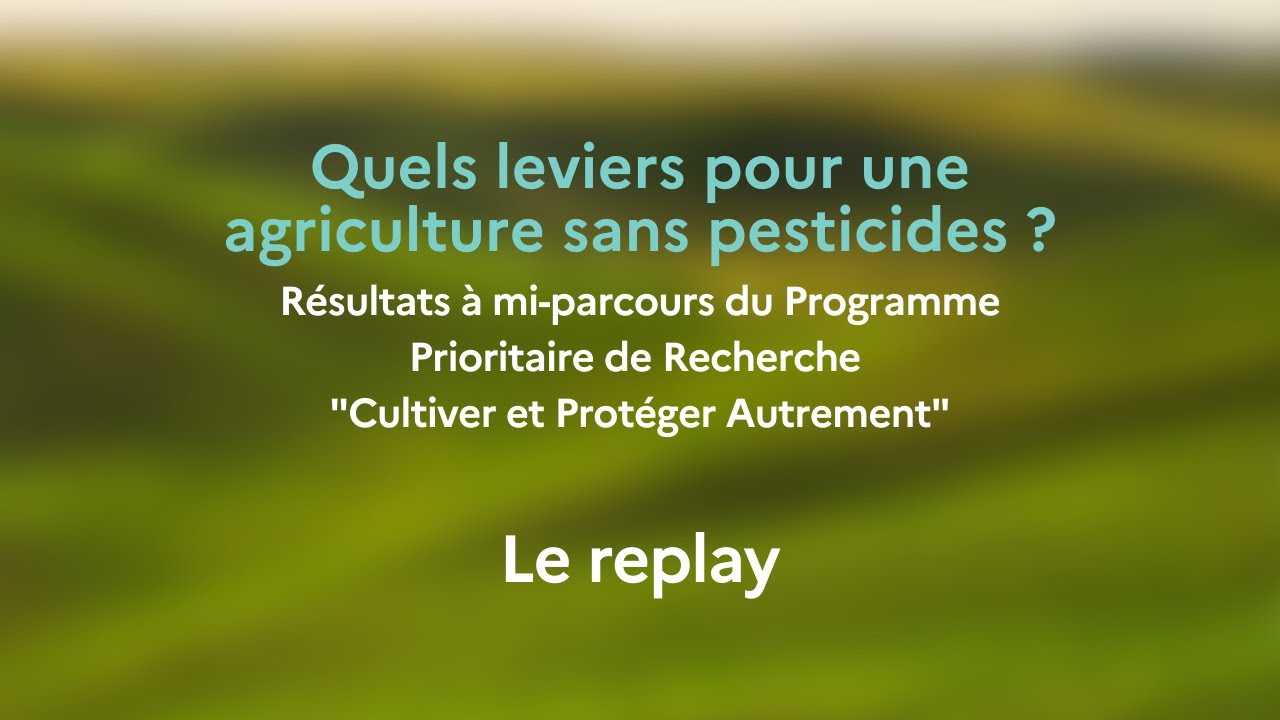 Avancées à mi-parcours : Décrypter les interactions plantes - microbiote