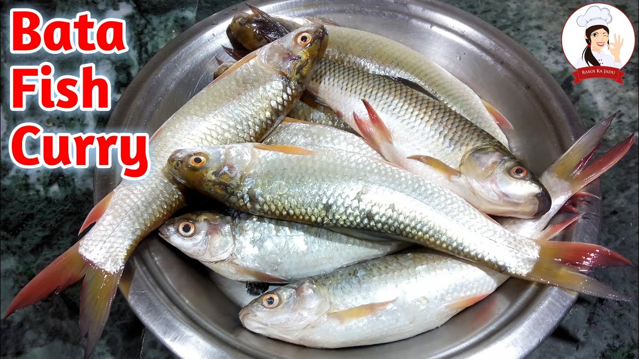 बाटा फिश करी रेसिपी | Bata Macher Jhol Recipe | Bata Fish Curry Recipe In Hindi | Tasty Fish Curry
