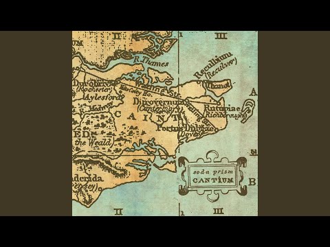 If I Could be President