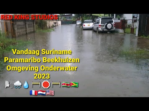 Vandaag Suriname Paramaribo | Beekhuizen Omgeving Onderwater 2023