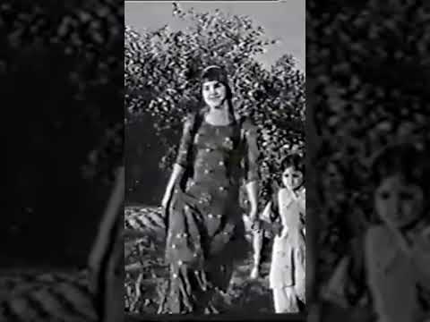 Pashto Old Film Song Best #shorts