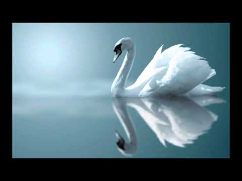 Sibelius, The Swan of Tuonela