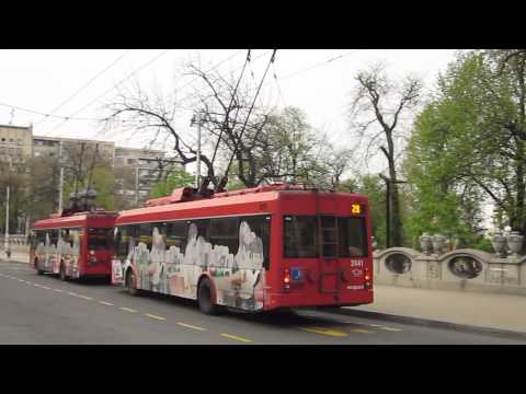 Beograd (Belgrade): Studentski trg. Trolleybus no. 2041, route 28