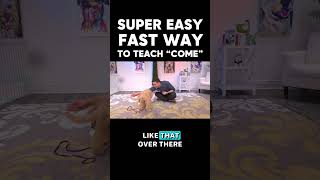 SUPER EASY & FAST Option to Prepare “Come!”