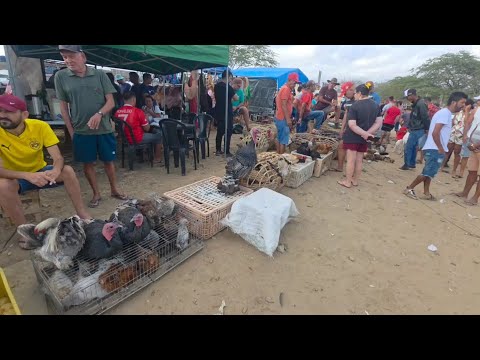 FEIRA DA GALINHA NA VILA JERIMUM T.N-PE 