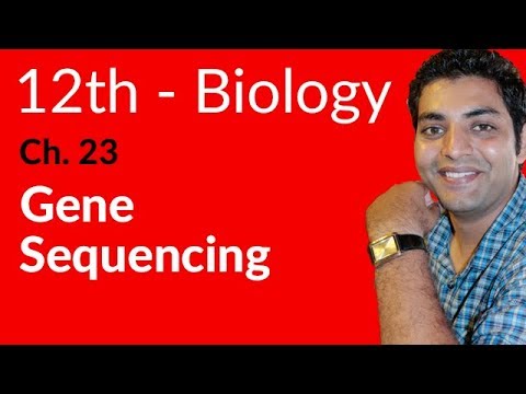 FSc Biology Book 2, Gene Sequencing - Ch 23 Biotechnology - 12th Class Biology