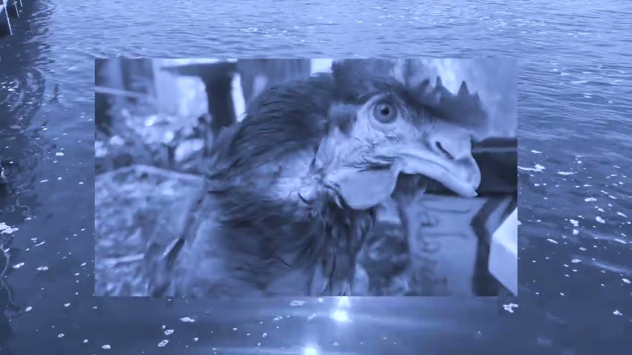 Video Work "NAVIGATING LOSS" 2022 thumbnail