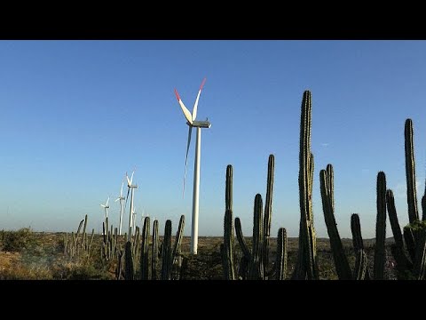 Investitionen in die Grüne Revolution