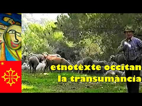 La transumància en Provença 🐑 en occitan