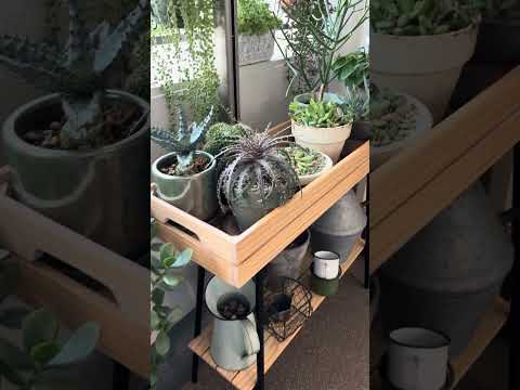 デザイナーファイバーセメントプランター – バルコニーの緑のプライバシースクリーン  庭園