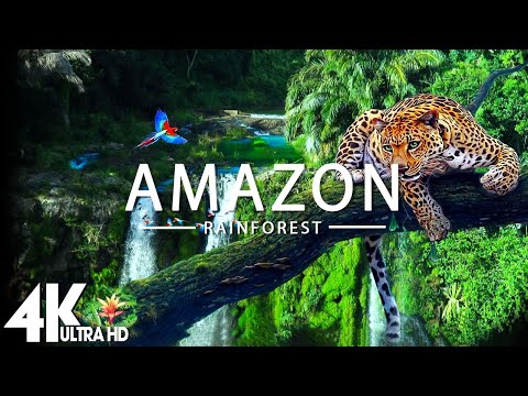 FLYING OVER AMAZON (4K UHD) - Relaxing Music Along With Beautiful Nature Videos - 4K Video Ultra HD
