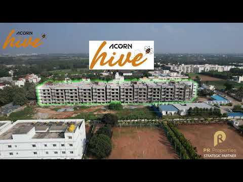 Acorn Hive Project Tour 1