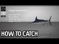 HOW TO CATCH UNIQUE MARLIN AND TUNA KAIJI NO RI FISHING PLANET
