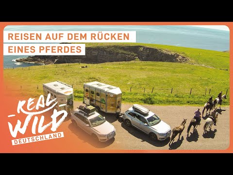 2+ Stunden Irland auf dem Rücken von Pferden | Doku zum Einschlafen