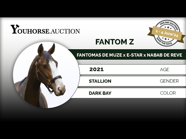 Fantom Z