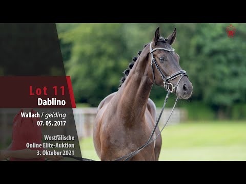 Online Elite-Auktion Lot 11 Dablino Wallach v. Don Nobless - Fidermark