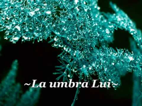 Gabriel Gorgea si prietenii-La umbra Lui