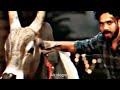 Happy Mattu Pongal 2022 WhatsApp Status Tamil Mattu Pongal WhatsApp Status Tamil