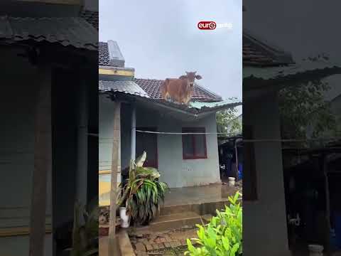 இயற்கையின் கொடுமையைப் பார்த்தீர்களா?