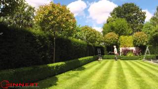 Preview of oN3OFo92fYeIbuGM6uW8.