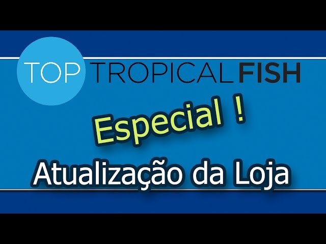 Top Tropical Fish - Mega promoção de renovação de estoque !