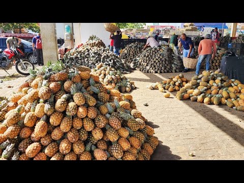PINEAPPLE FOR 0.50 CENTS ONLY AT CEACA IN CARUARU PE