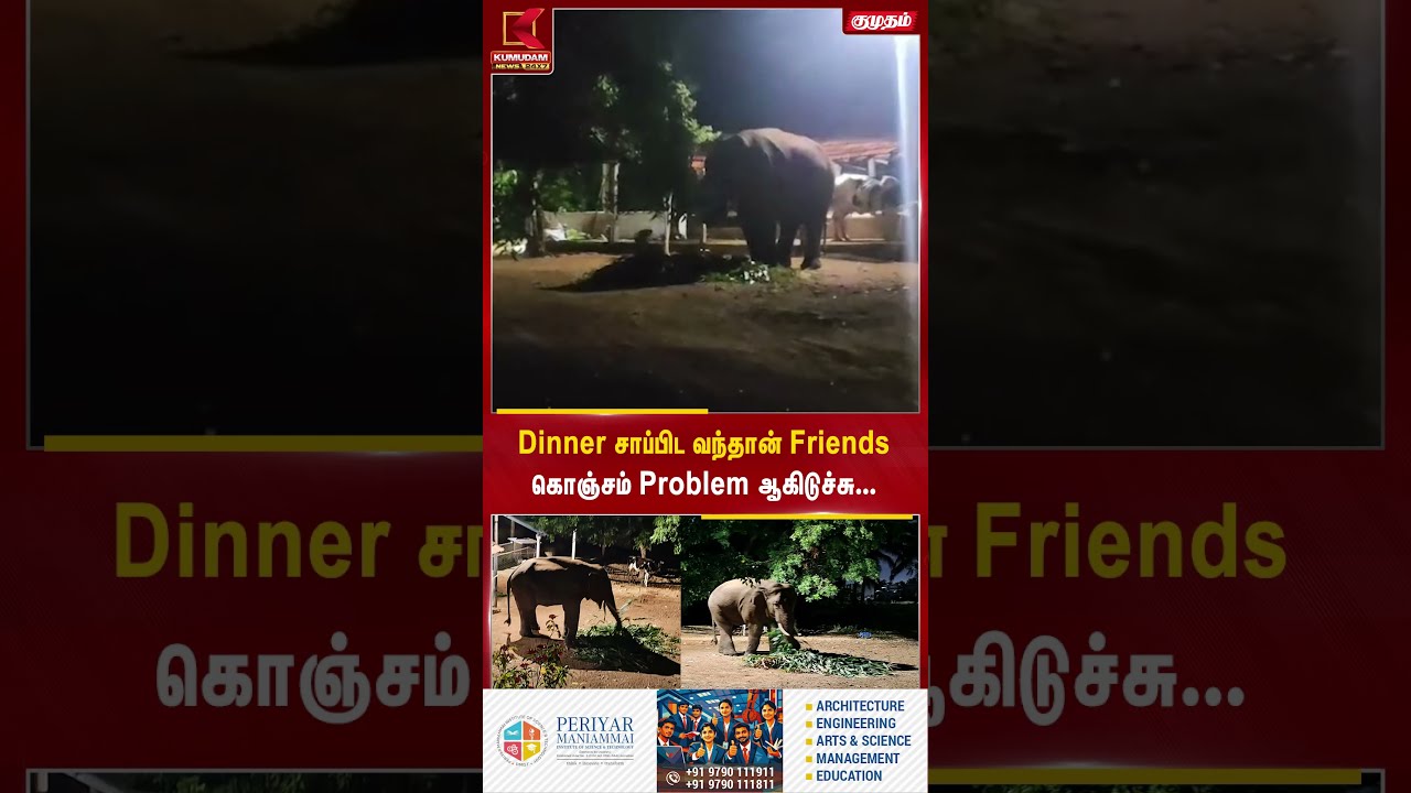 Dinner சாப்பிட வந்தான் Friends கொஞ்சம் Problem ஆகிடுச்சு... | Elephant | Kumudam News