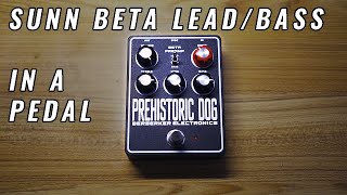 Video thumbnail for Berserker Electronics Prehistoric Dog | Sunn Beta Lead / Bass in a Pedal! by Colin Thomas Nichols