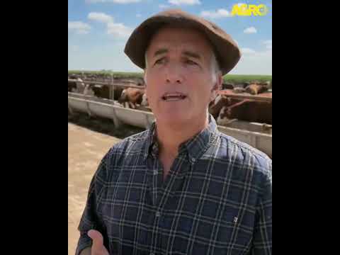 Agro TV Pretto Agronegocios