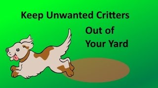 Keep Animals Out of Your Yard