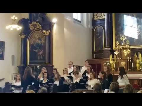 Mešani pevski zbor Reteče - Pojdi z menoj (acapella)